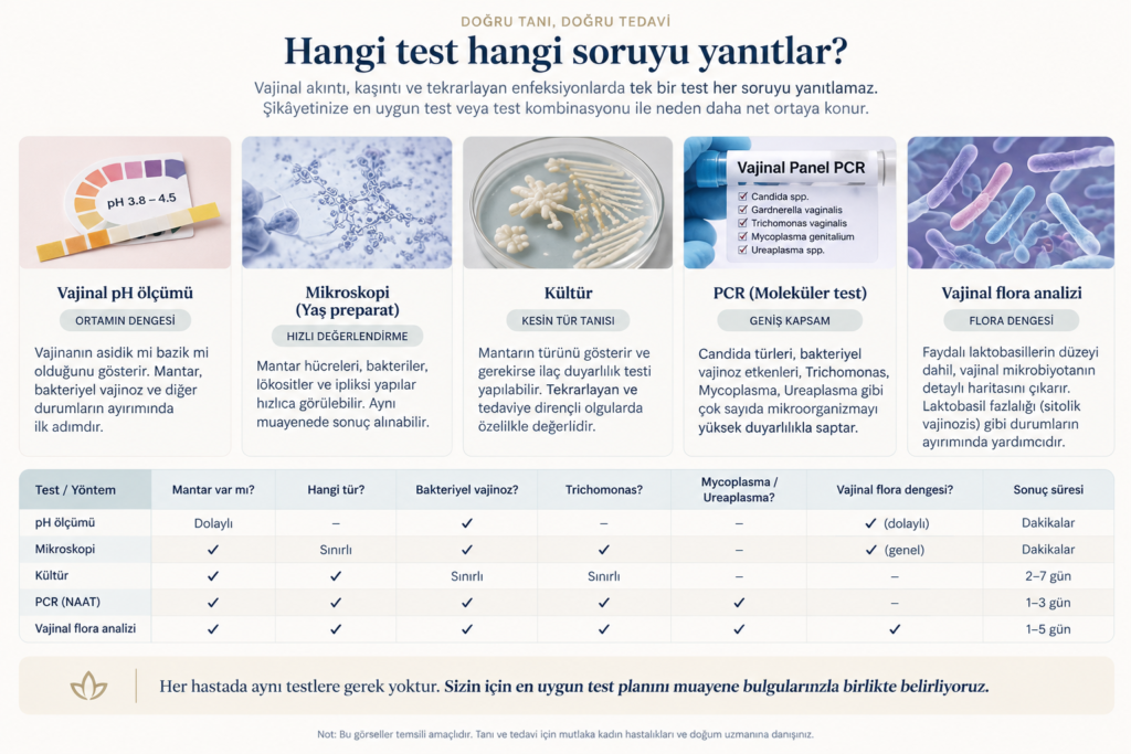 Vajinal pH, mikroskopi, kültür ve moleküler incelemeleri karşılaştıran temsili tanı ve test infografiği